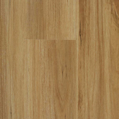 ALTUS - BLACKBUTT